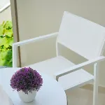 My Happy Place * ポトス